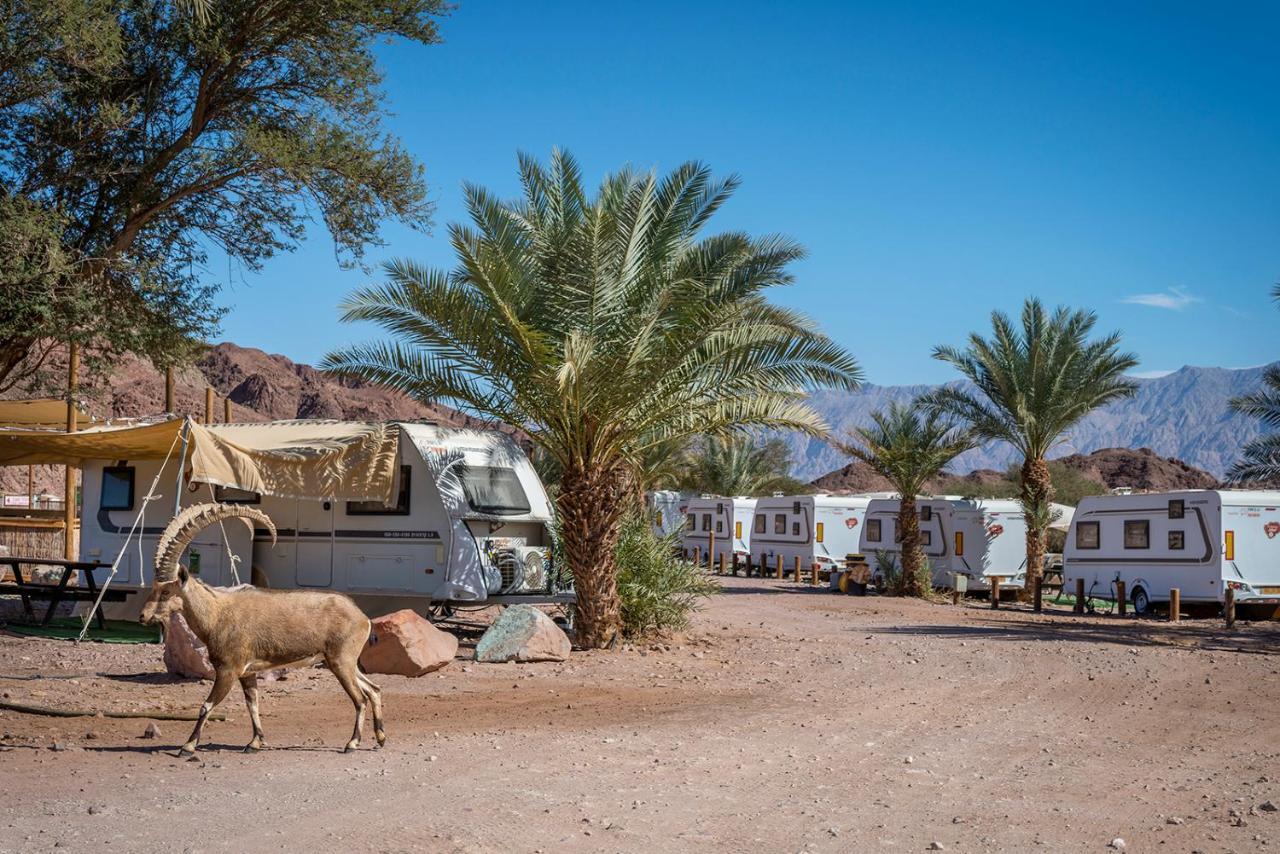 Park Timna Otel Eilat Dış mekan fotoğraf